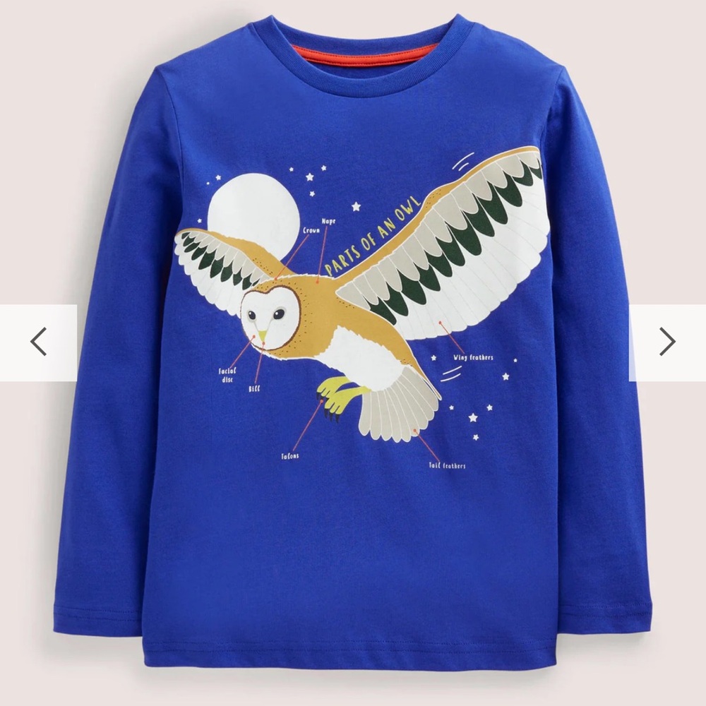 Mini Boden Kids Blue Owl Graphic Shirt